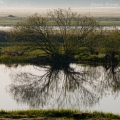 021_Biebrza - kwiecien 2012